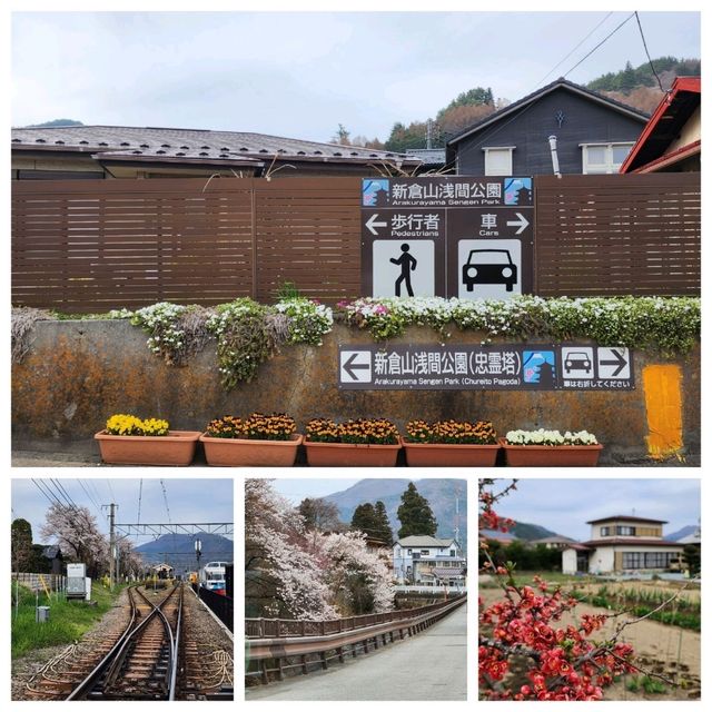 นั่งชม Mt. Fuji ที่ Fujiyoshida