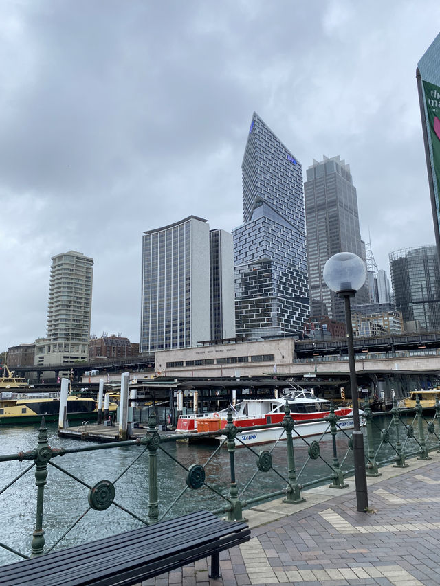 Sydney’s Iconic Span: Harbour Bridge Adventures Await!