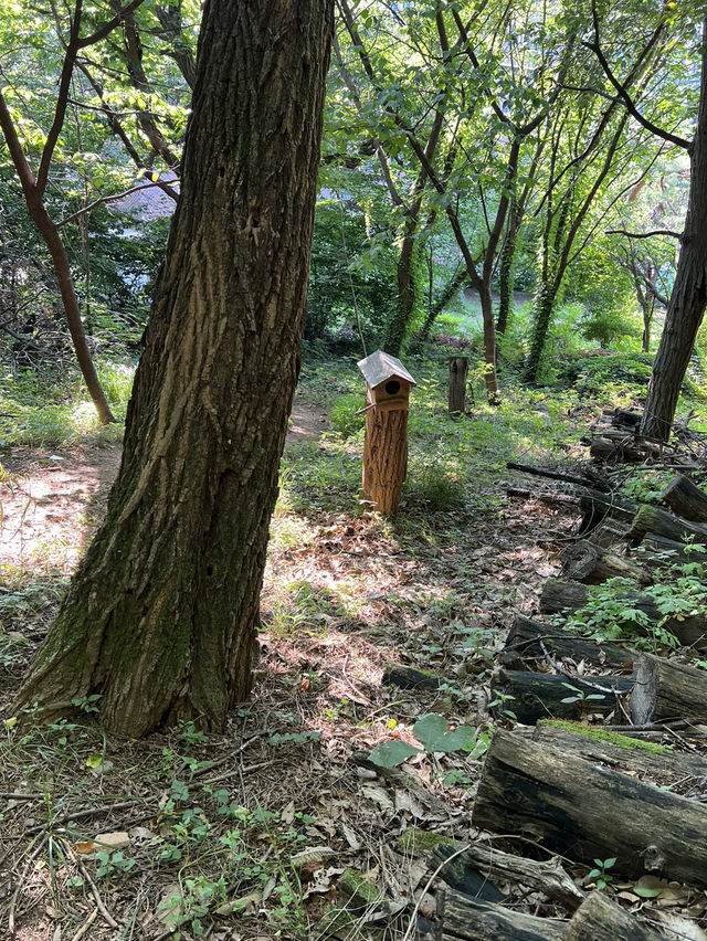 7코스 둘레길을 걸으며 