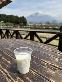 富士山周邊親子必遊！一邊欣賞富士美景一邊玩