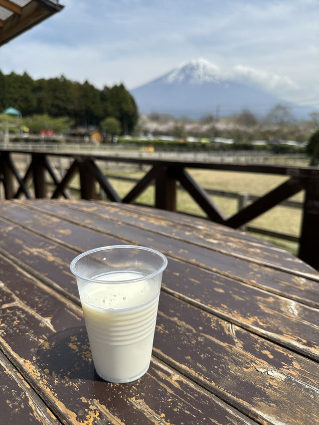 富士山周邊親子必遊！一邊欣賞富士美景一邊玩