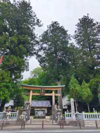 獨旅 🏯 高雄直飛名古屋