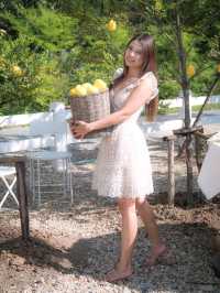 Summer Bloom Cafe