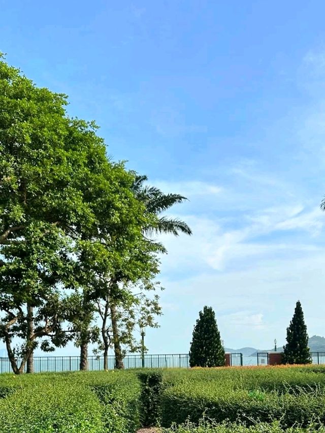 A Magical Stay at Hong Kong Disneyland Hotel