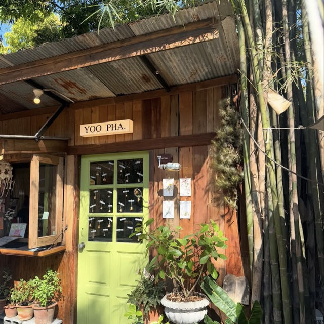 อยู่ป่า - Yoo Pha Bar & Cafe