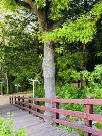 Uam-dong Urban Forest, Busan: A Tranquil Green Escape with Harbor Views
