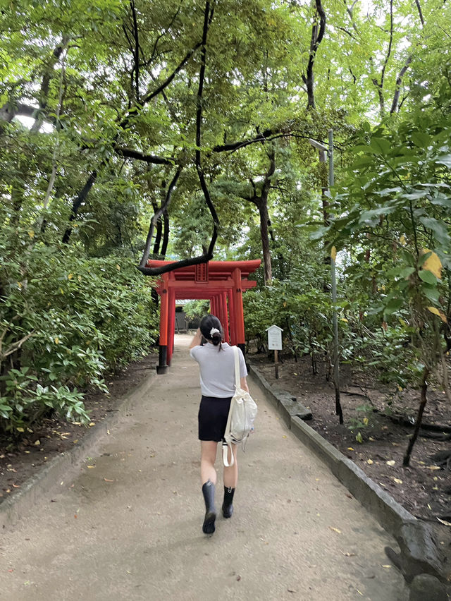 후쿠오카 도심 속 자리한 유서 깊은 신사 ⛩️