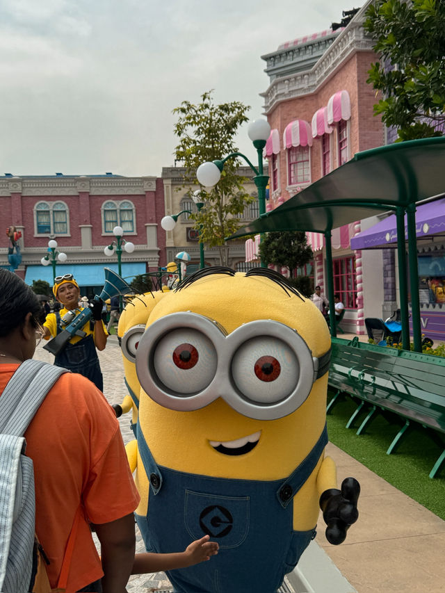Fan of MINIONS ??? 🤪