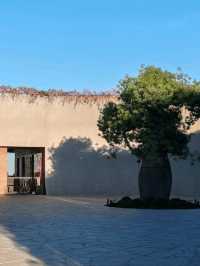 Pt. Leo Estate | 艺术、美酒与海风的完美邂逅