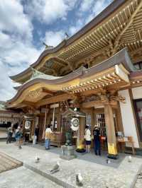 Kabushima Shrine: Where 30,000 Wild Gulls Become Sacred Messengers