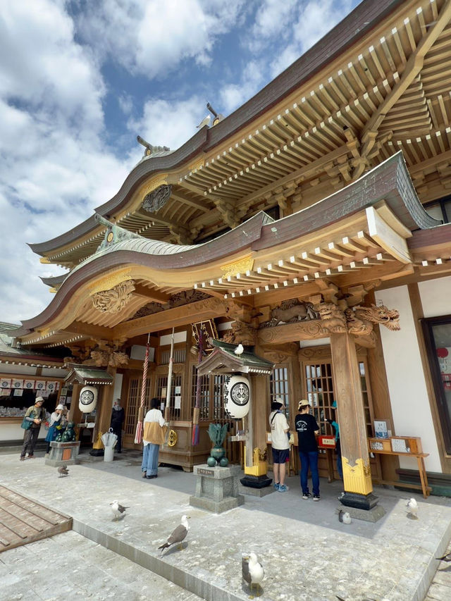Kabushima Shrine: Where 30,000 Wild Gulls Become Sacred Messengers