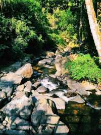 🌳น้ำตก ป่าละอู🌊🐳💦🌾