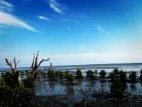 Tua Pek Kong Temple & Mangrove Walk – A Scenic Surprise in Setiawan