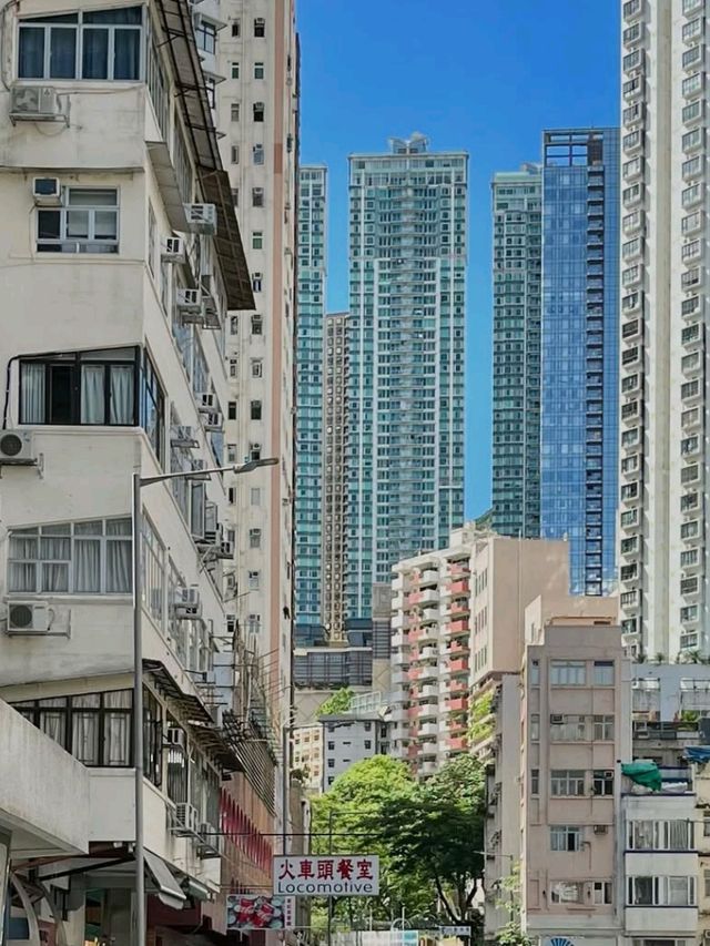🏙️🌿 Little Tai Hang – A Stylish Hideaway in the Heart of Hong Kong 🇭🇰✨