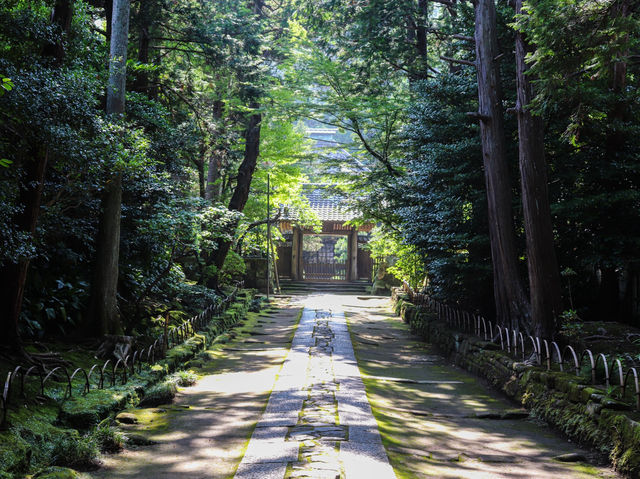 【神奈川県】 源氏のルーツを残す鎌倉五山の一寺『寿福寺』