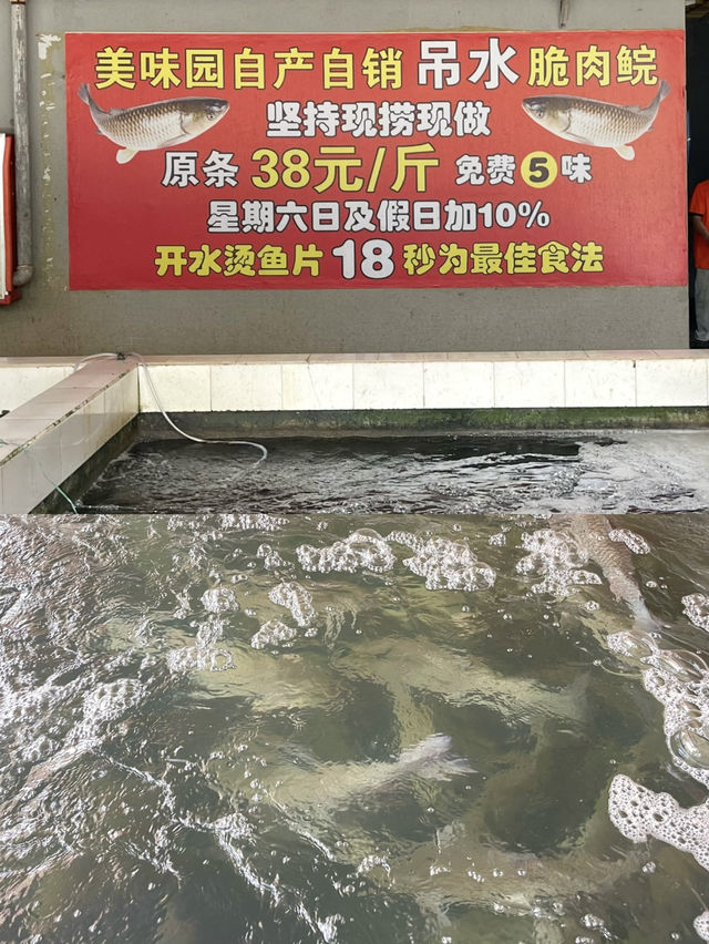 不惜開一小時車 💕 為吃美味園脆肉鯇四吃