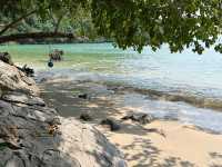 หาดลับ✨ มีแต่คนพื้นที่ที่รู้จัก น้ำใสเหมือนสระ