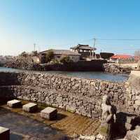 A Picturesque Stop on Jeju's Coastal Drive