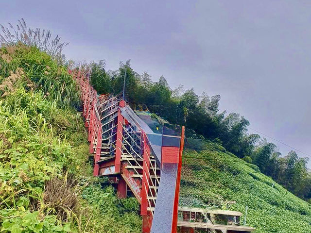 雲嘉連峰縱走巡禮～看茶園賞雲海及鐵道