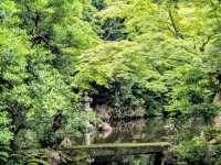 京都 | 方丈庭園，知恩院面向北條的名勝庭園