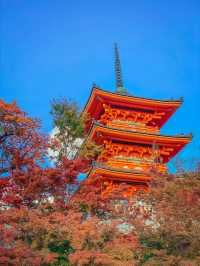 วัดคิโยมิซึ (Kiyomizu‑dera) ตอนฤดูใบไม้เปลี่ยนสี 