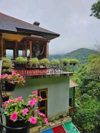 First Valley Coffee Estate | Chiangmai 