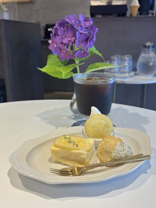 【Fukuoka Cafe】A pet-friendly cafe you can visit with your furry friend.