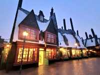 Snowy Nights & Butterbeer Delights in Hogsmeade