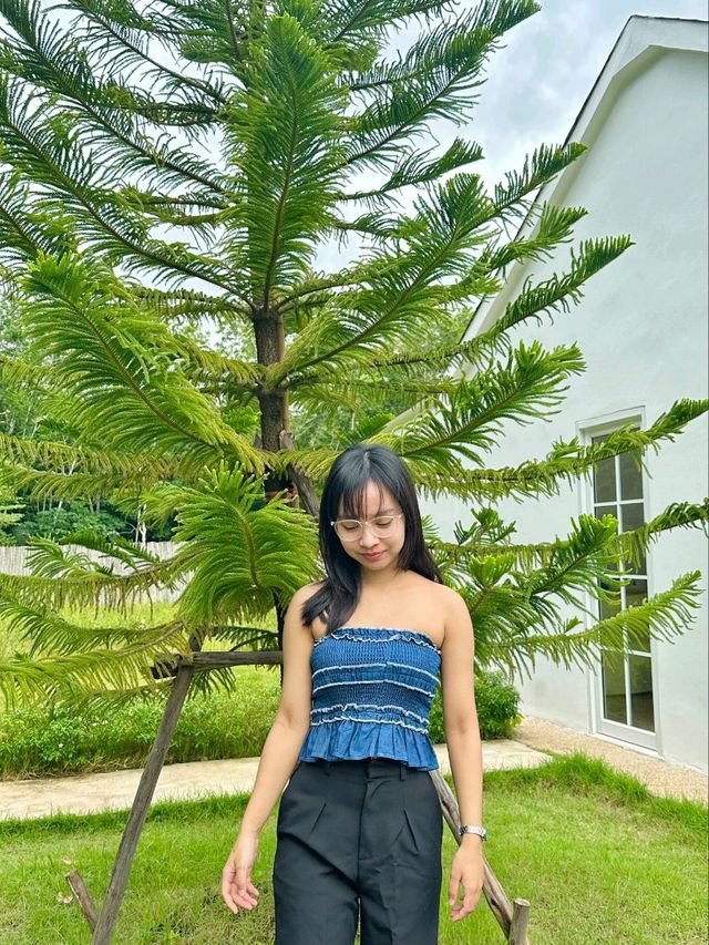 Little Cozy Cafe #เขาสมิง