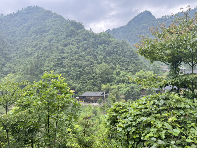 有空出來感覺大自然吧