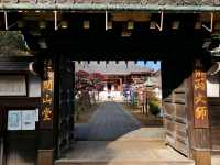 Echoes of Edo at Kan'ei-ji Temple complex