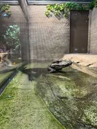 【如夢似幻的藍色奇遇】——走進DMM沖繩水族館，感受海洋的溫柔呼吸