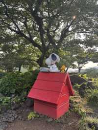 スヌーピーガーデンin 済州島~外編~