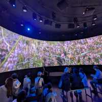 大阪 EXPO | 愛爾蘭館，小而美的生態地貌展示