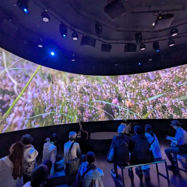 大阪 EXPO | 愛爾蘭館，小而美的生態地貌展示