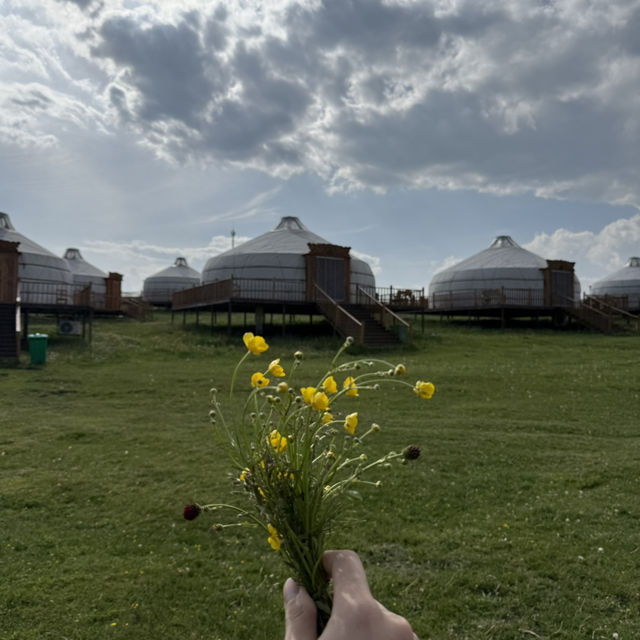 Grasslands, Gers, and Blue Skies: Summer Freedom in Hohhot