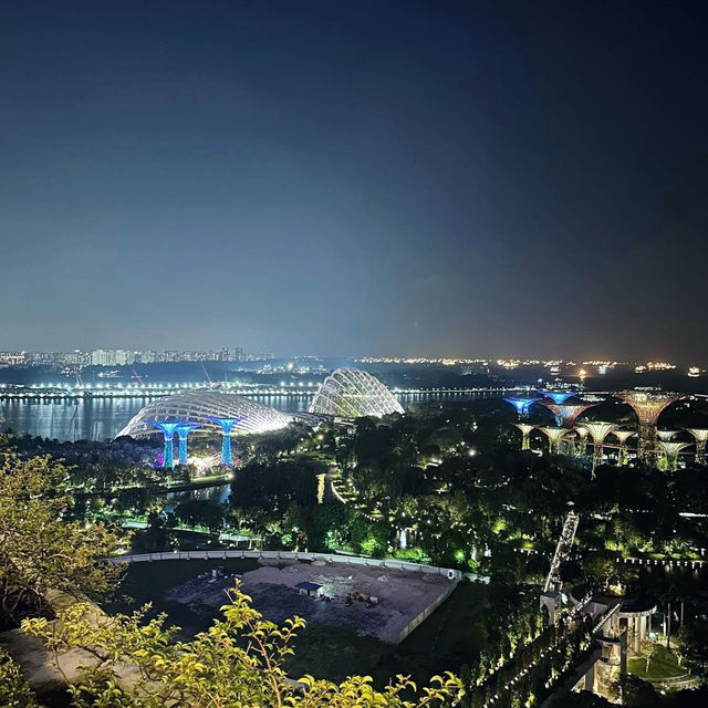 Above It All: The Iconic Marina Bay Sands Experience 🇸🇬