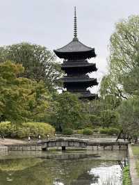 京都最古的守望者｜東寺五重塔