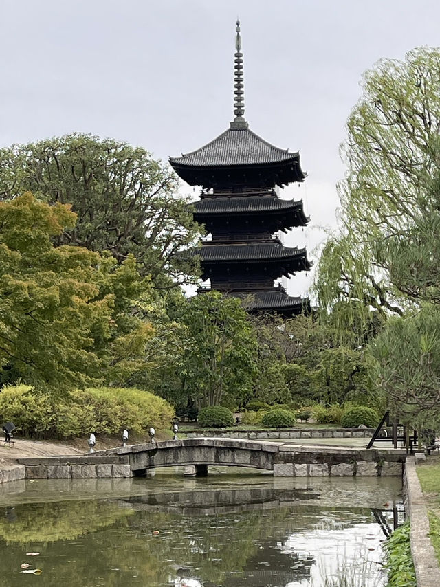 京都最古的守望者｜東寺五重塔