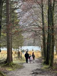 Königssee: Where Silence Echoes Louder