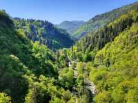 Borjomi's Cable Car + Central Park Combo