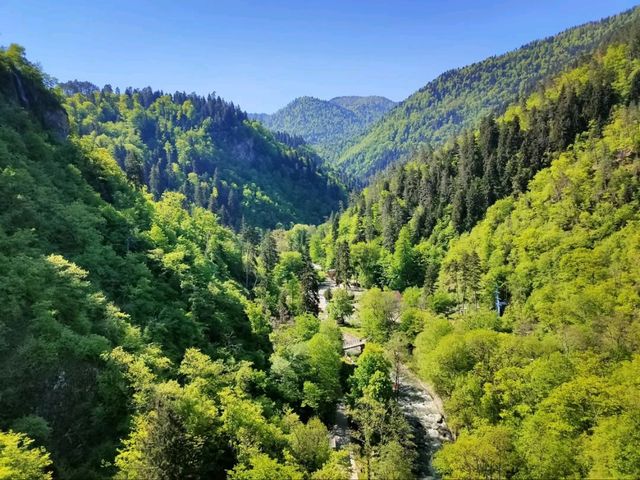 Borjomi's Cable Car + Central Park Combo