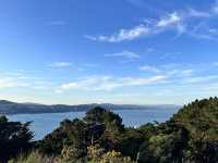 🏞️ Mount Victoria Lookout｜Wellington 城市與海港的天然畫框