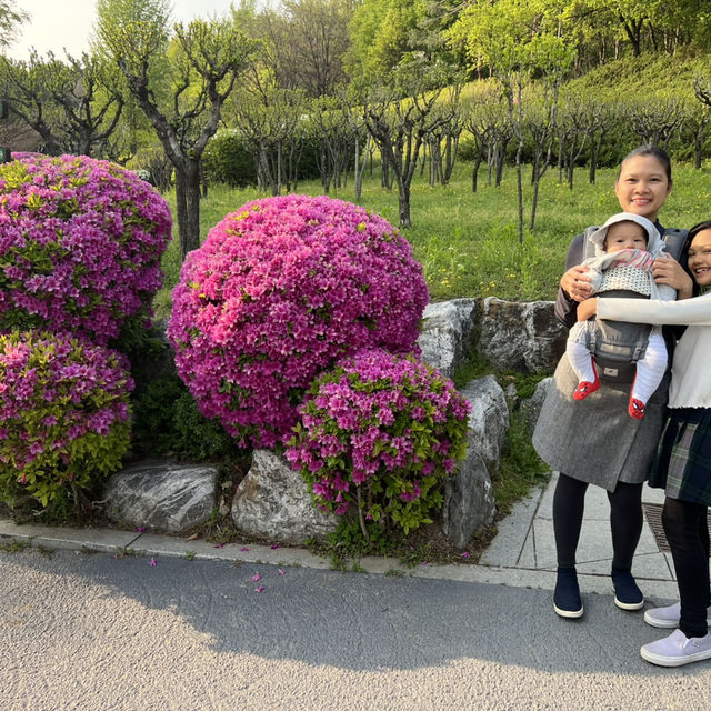 🇰🇷 How to spend 28 days in Seoul
