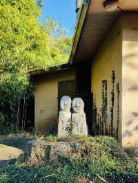 A Serene Outdoor Gallery Amidst Lush Nature