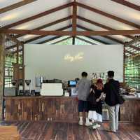 หลงเขา คาเฟ่กลางป่าจังหวัดน่าน