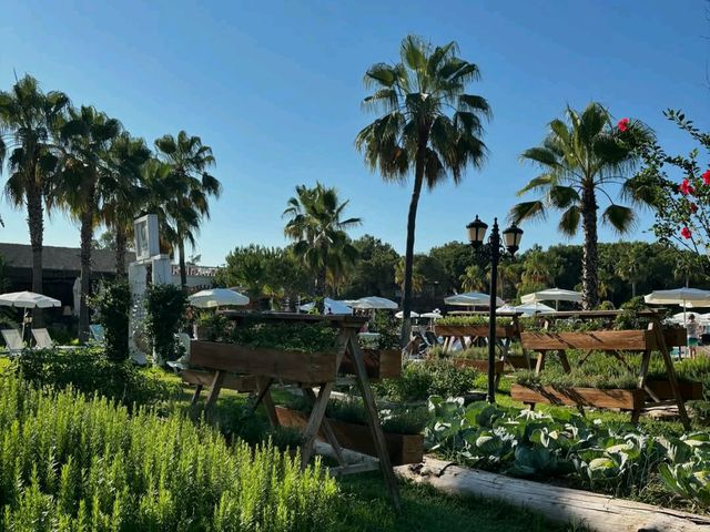 Beach Days at Selectum Belek Resort