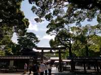 วัดเมจิ (Meiji Jingu) – ศาลเจ้าศักดิ์สิทธิ์