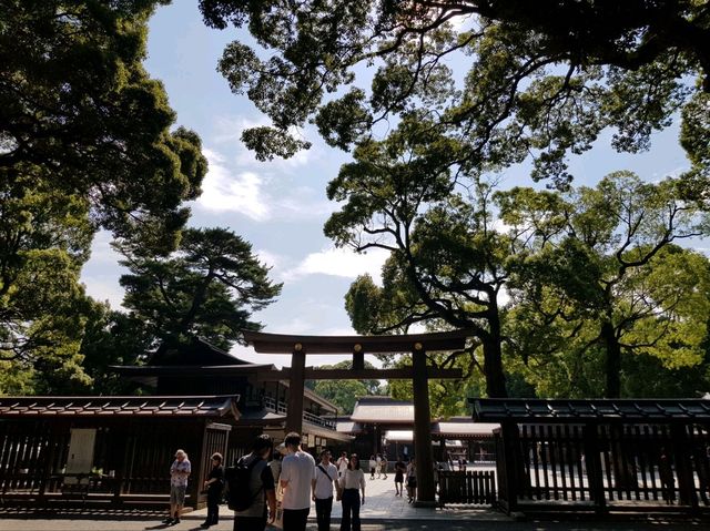 วัดเมจิ (Meiji Jingu) – ศาลเจ้าศักดิ์สิทธิ์