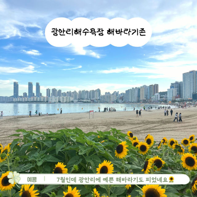 부담없는 부산 광안리 당일치기 여행 코스!🌊
